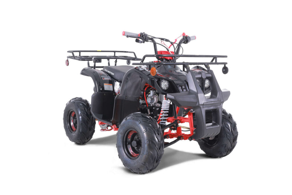 Tao Tao D125 Children's ATV, 4-Stroke 125cc