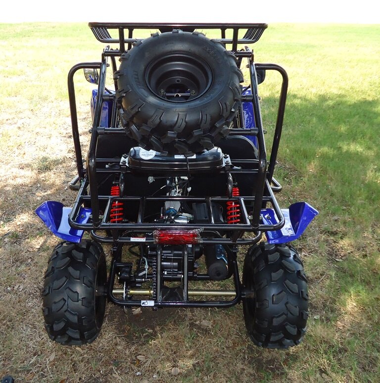 TER-R 125 Children's Go-Kart Buggy, 125cc 4 Stroke