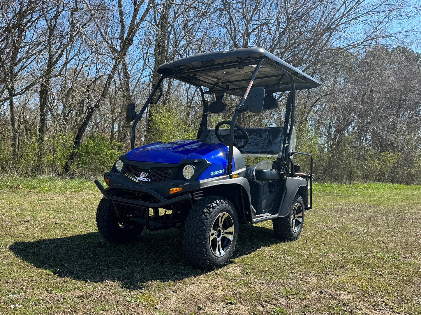 Trailmaster Taurus 200GX EFI Golf Cart