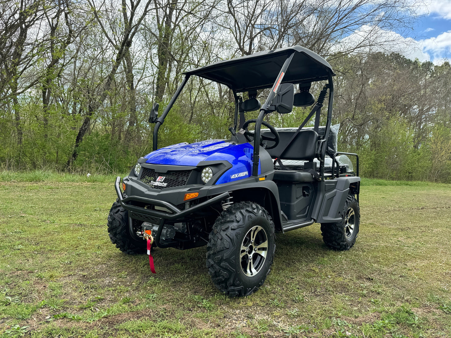 TrailMaster Taurus 450GV EFI 4X4 Golf Cart