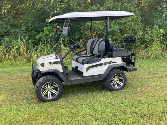 Tao Champ Electric Golf Cart