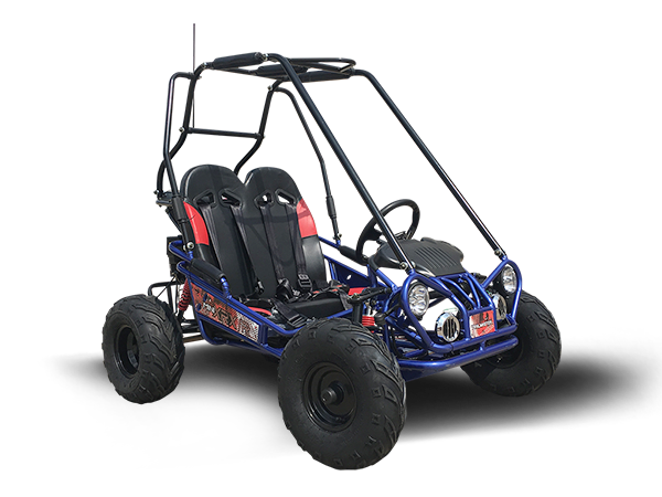 Trailmaster Mini XRX/R+ Children's Go-Kart Buggy, 4-Stroke 163cc