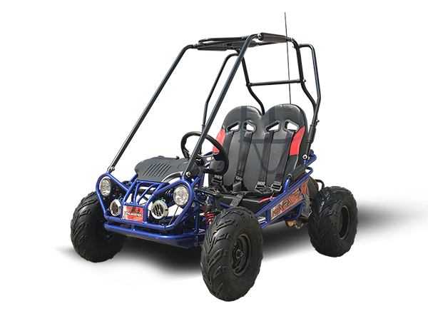 Trailmaster Mini XRX/R+ Children's Go-Kart Buggy, 4-Stroke 163cc