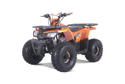 Tao Tao Rival Mudhawk 10 Children's ATV, 4-Stroke 125cc