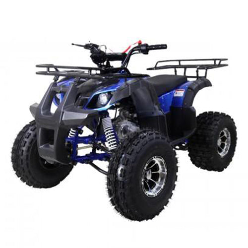 Tao Tao New T-Force 125 Children's ATV, 4-Stroke 125cc
