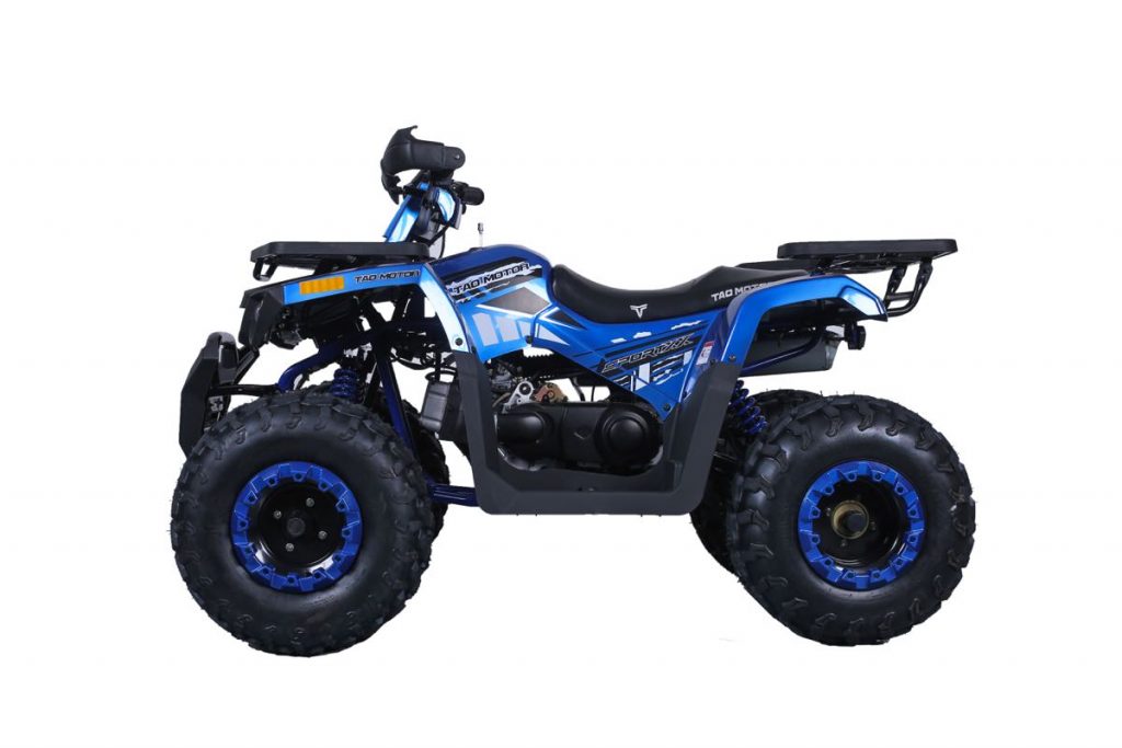 Tao Tao Raptor 200G Adult ATV