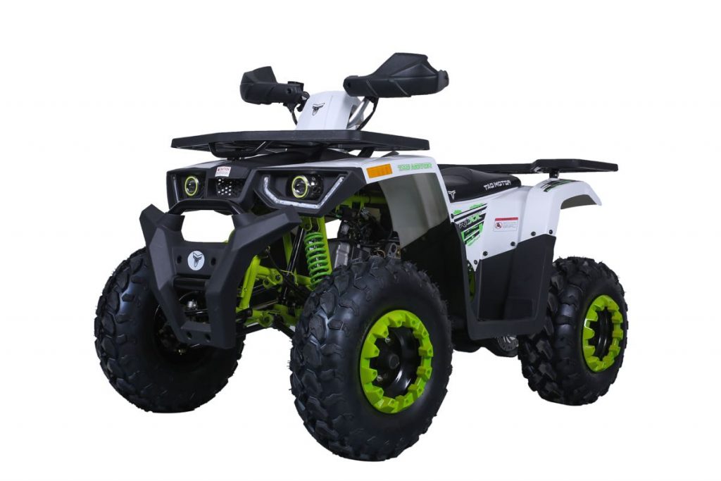 Tao Tao Raptor 200G Adult ATV