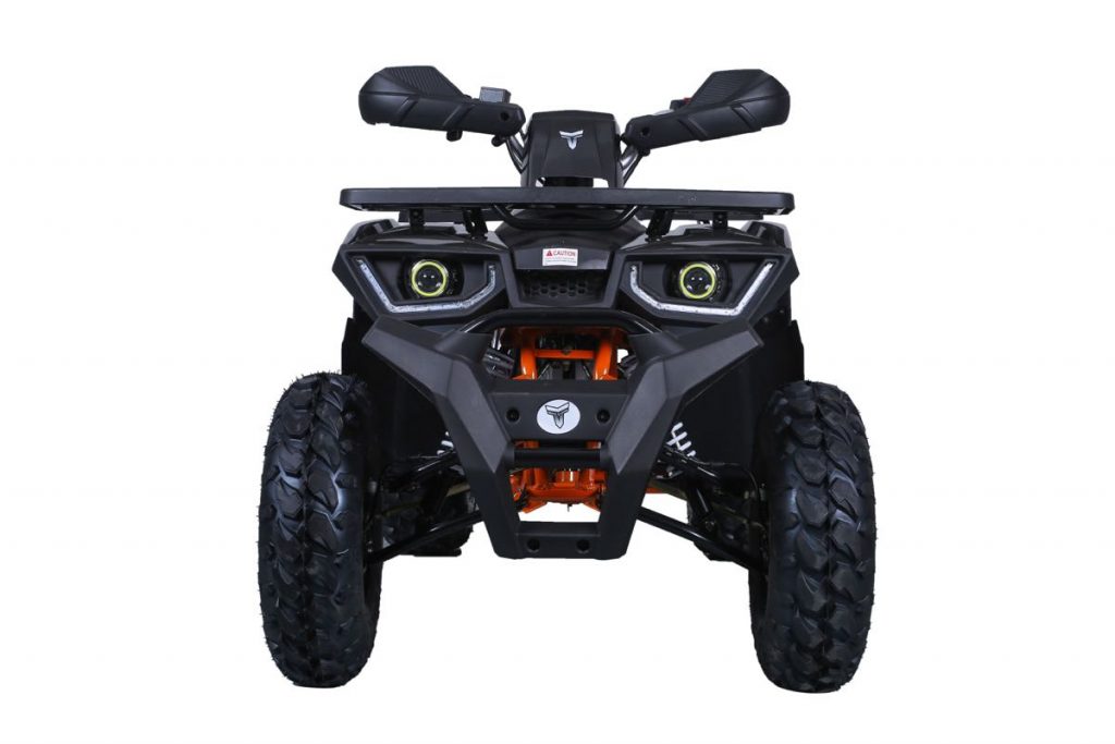 Tao Tao Raptor 200G Adult ATV
