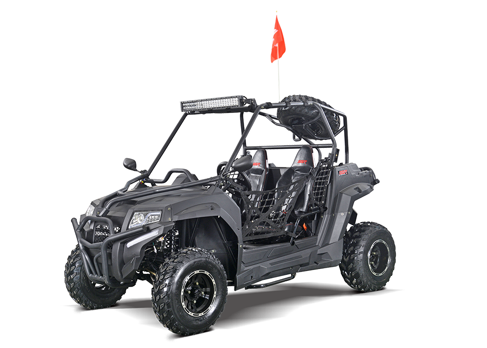 SRU 170RS Side-By-Side Engine, GY6 170cc