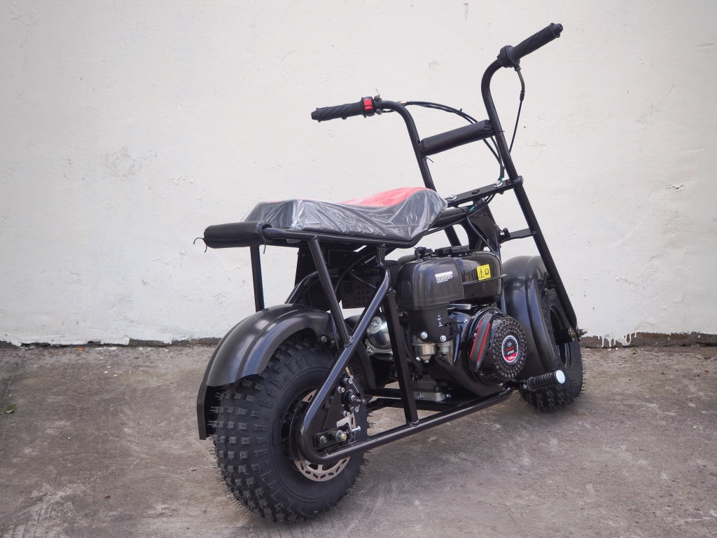 Trailmaster Storm 200 Offroad Mini Bike