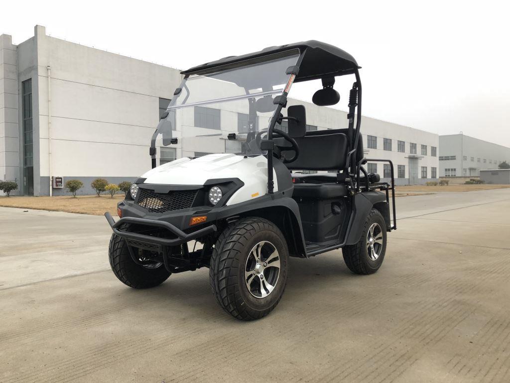 Trailmaster Taurus 200GV Golf Cart