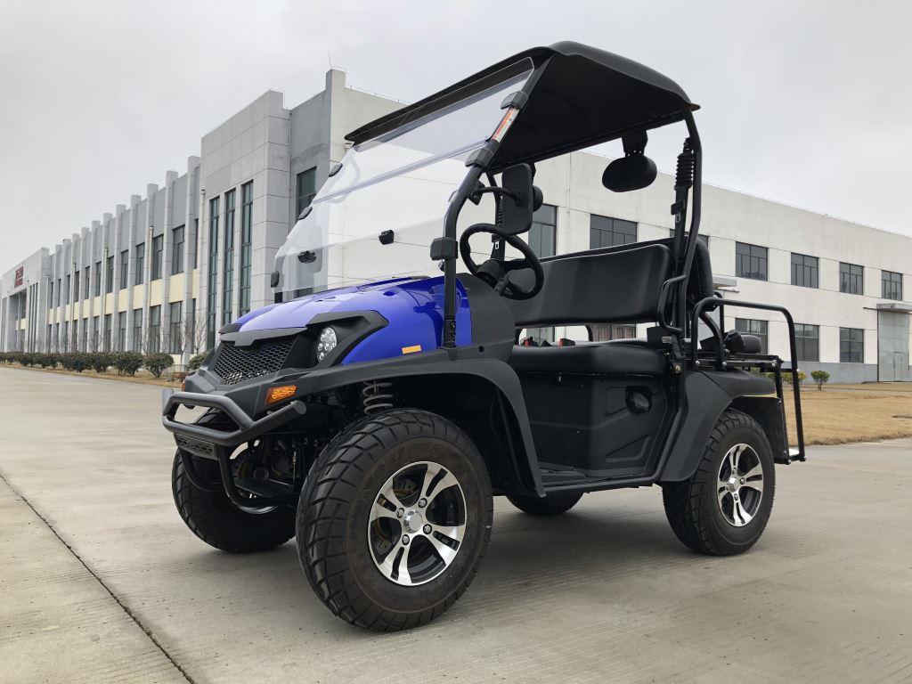 Trailmaster Taurus 200GV Golf Cart