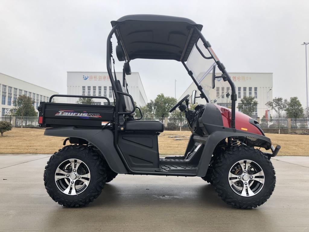 TrailMaster Taurus 200U UTV