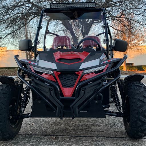 Trailmaster Cheetah 300EX EFI Adult Go-Kart Buggy