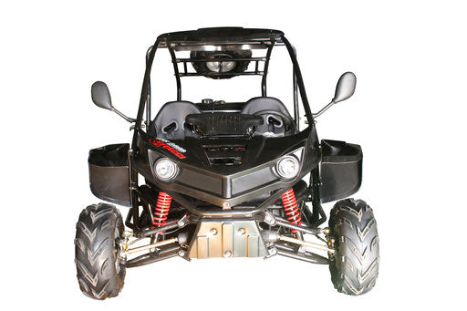 T-Rex 125 Children's Go-Kart Buggy, 125cc 4 Stroke
