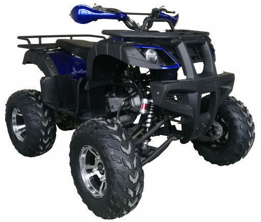 Warrior 200 Adult Quad ATV