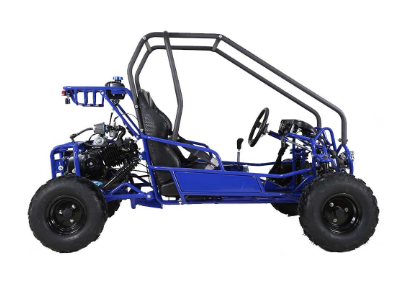 Tao Tao GK110 Children's Go-Kart Buggy, 110cc 4 Stroke