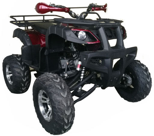 Warrior 200 Adult Quad ATV