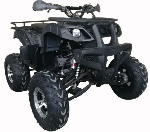 Warrior 200 Adult Quad ATV