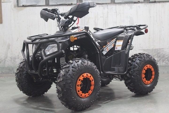 Dongfang Grizzly 200 ATS Youth ATV