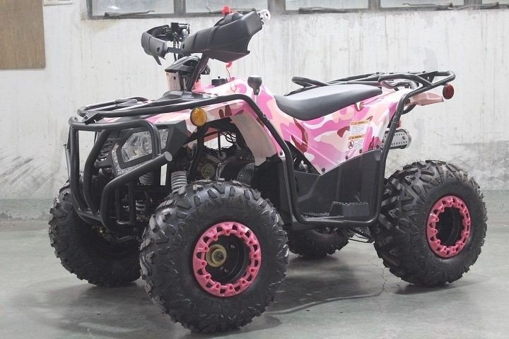 Dongfang Grizzly 200 ATS Youth ATV