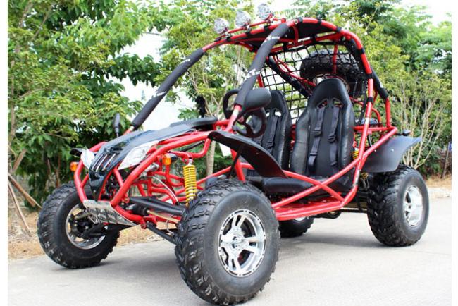 Dongfang Jaguar Adult Go-Kart Buggy DF200GKA, Big Bore 200 PowerStroke