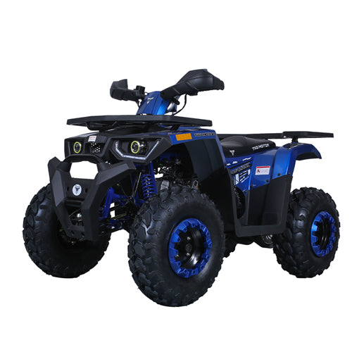 Tao Tao Raptor 200G Adult ATV
