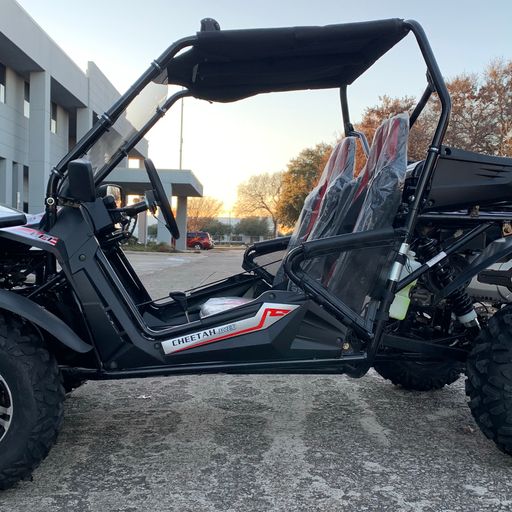 Trailmaster Cheetah 300EX EFI Adult Go-Kart Buggy