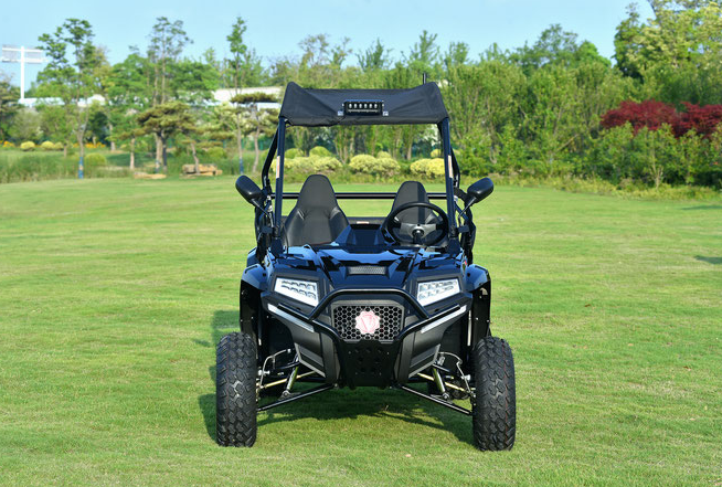 Blade 200 UTV Side By Side