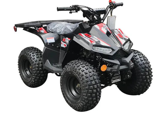 RXR 110 Mini Sport ATV 110cc Engine